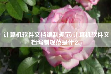 计算机软件文档编制规范(计算机软件文档编制规范是什么)
