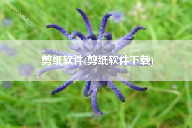 剪纸软件(剪纸软件下载)