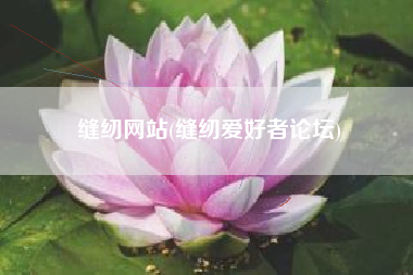 缝纫网站(缝纫爱好者论坛)