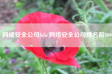 网络安全公司fofa(网络安全公司排名前100)