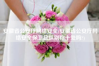 安徽省公安厅网络安全(安徽省公安厅网络安全保卫总队别称十处吗?)