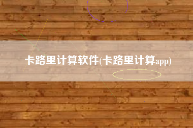 卡路里计算软件(卡路里计算app)