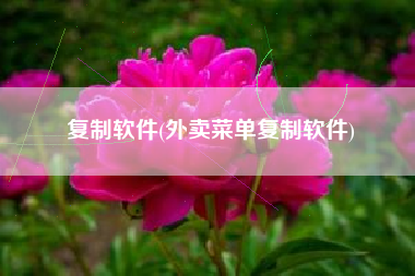 复制软件(外卖菜单复制软件)
