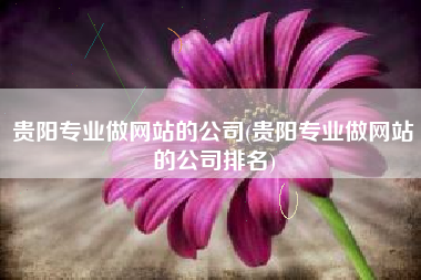 贵阳专业做网站的公司(贵阳专业做网站的公司排名)