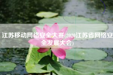 江苏移动网络安全大赛(2020江苏省网络安全发展大会)