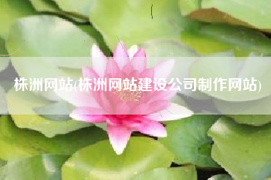 株洲网站(株洲网站建设公司制作网站)