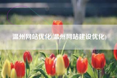 温州网站优化(温州网站建设优化)