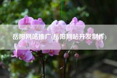 岳阳网站推广(岳阳网站开发制作)
