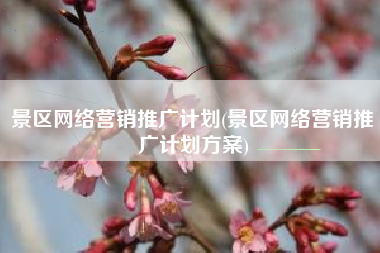 景区网络营销推广计划(景区网络营销推广计划方案)
