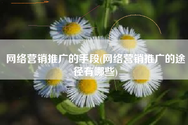 网络营销推广的手段(网络营销推广的途径有哪些)