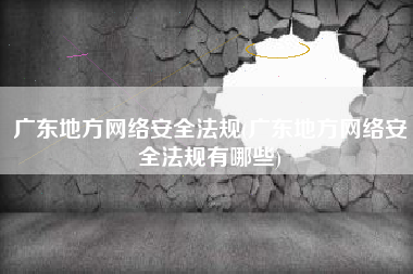 广东地方网络安全法规(广东地方网络安全法规有哪些)