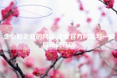 企业和企业的网站(企业官方网站与一般网站的区别)