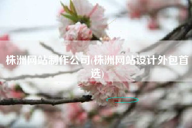 株洲网站制作公司(株洲网站设计外包首选)
