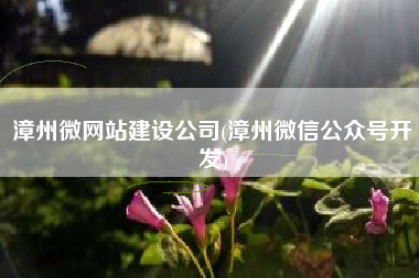 漳州微网站建设公司(漳州微信公众号开发)