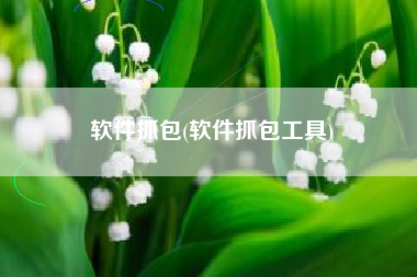 软件抓包(软件抓包工具)