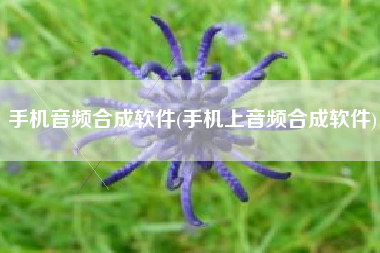 手机音频合成软件(手机上音频合成软件)