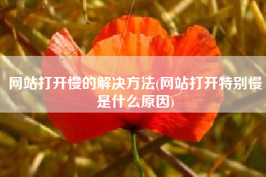 网站打开慢的解决方法(网站打开特别慢是什么原因)