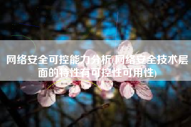 网络安全可控能力分析(网络安全技术层面的特性有可控性可用性)