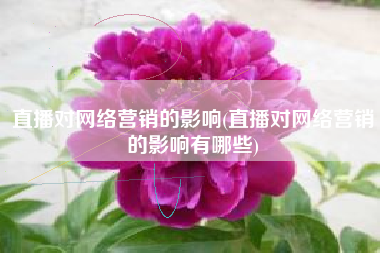 直播对网络营销的影响(直播对网络营销的影响有哪些)