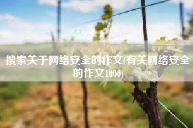 搜索关于网络安全的作文(有关网络安全的作文1000)