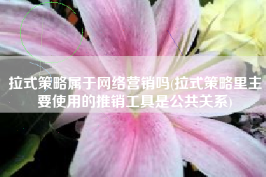 拉式策略属于网络营销吗(拉式策略里主要使用的推销工具是公共关系)