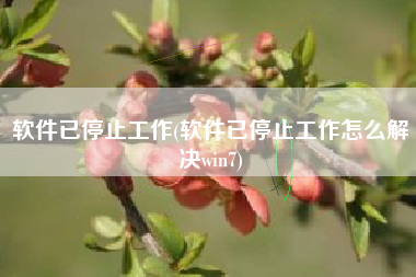 软件已停止工作(软件已停止工作怎么解决win7)