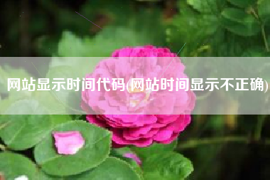 网站显示时间代码(网站时间显示不正确)