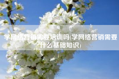 学网络营销需要培训吗(学网络营销需要什么基础知识)