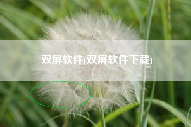 双屏软件(双屏软件下载)