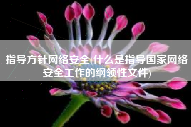 指导方针网络安全(什么是指导国家网络安全工作的纲领性文件)