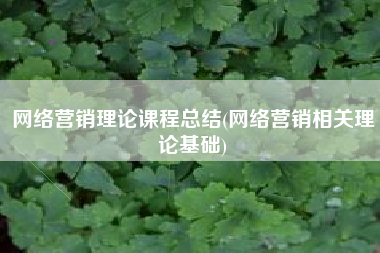 网络营销理论课程总结(网络营销相关理论基础)
