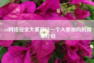 ctf网络安全大赛可以一个人参加吗的简单介绍