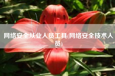 网络安全从业人员工具(网络安全技术人员)