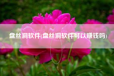 盘丝洞软件(盘丝洞软件可以赚钱吗)