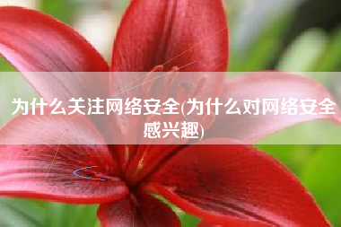为什么关注网络安全(为什么对网络安全感兴趣)