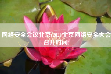 网络安全会议北京(2021北京网络安全大会召开时间)