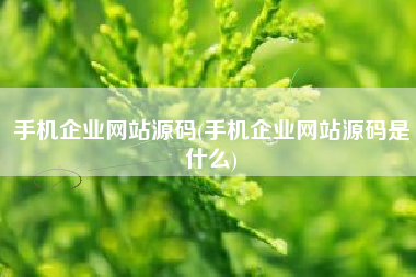 手机企业网站源码(手机企业网站源码是什么)