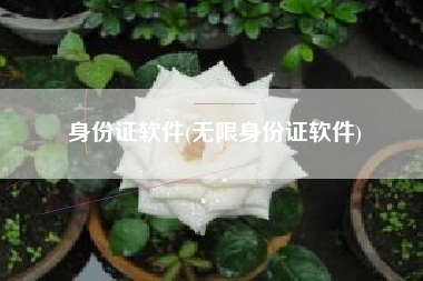 身份证软件(无限身份证软件)