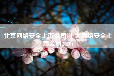 北京网络安全上市公司(十大网络安全上市公司2020)