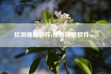 检测睡眠软件(检测睡眠软件app)