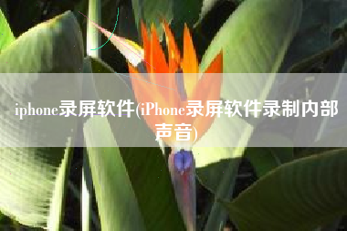 iphone录屏软件(iPhone录屏软件录制内部声音)