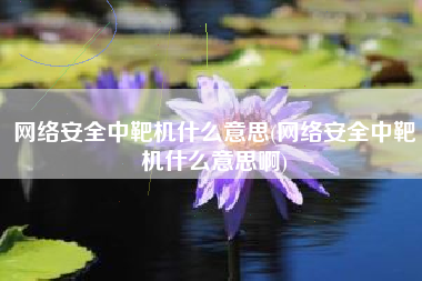网络安全中靶机什么意思(网络安全中靶机什么意思啊)
