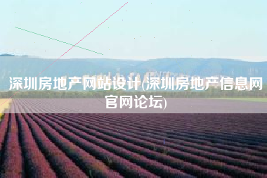 深圳房地产网站设计(深圳房地产信息网官网论坛)