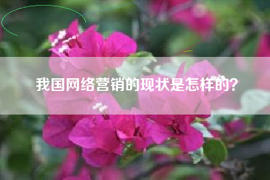 我国网络营销的现状是怎样的？