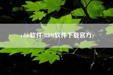 rdm软件(RDM软件下载官方)