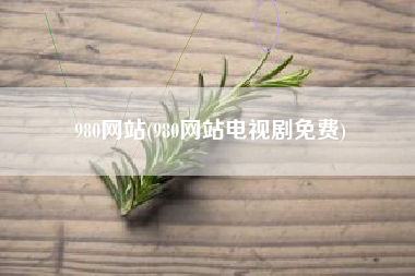 980网站(980网站电视剧免费)