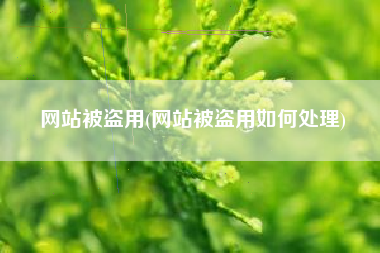 网站被盗用(网站被盗用如何处理)