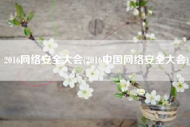 2016网络安全大会(2016中国网络安全大会)