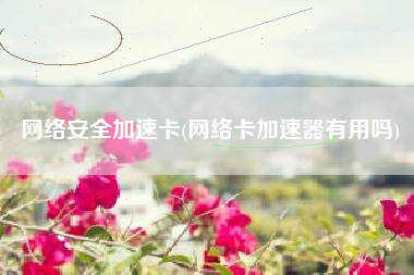 网络安全加速卡(网络卡加速器有用吗)