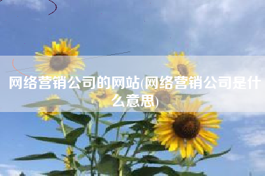 网络营销公司的网站(网络营销公司是什么意思)